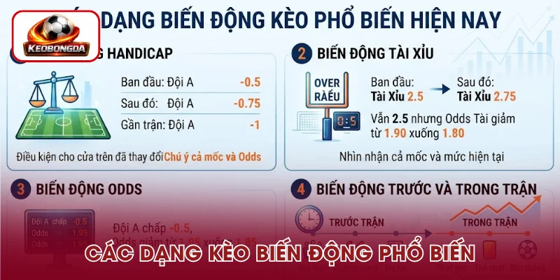 Cập nhật các kèo biến động phổ biến hiện nay