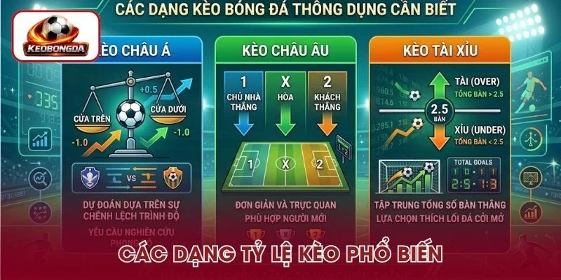 Các dạng tỷ lệ kèo thông dụng 