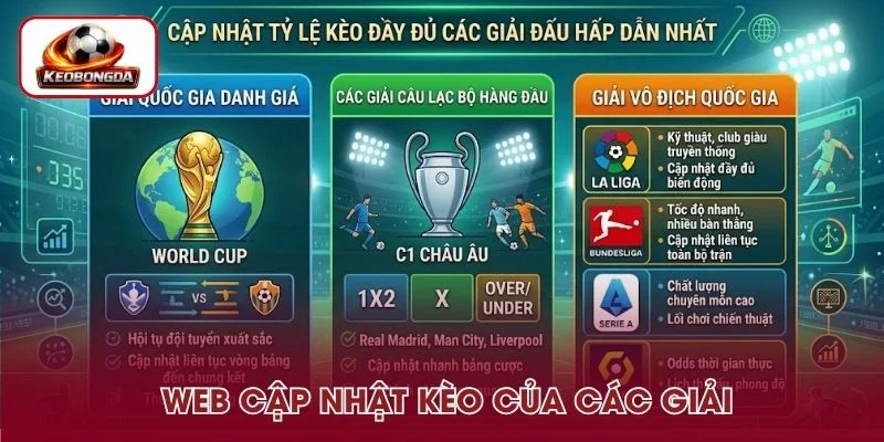 Các giải đấu được web cập nhật đầy đủ kèo 