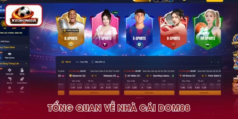 Tổng quan về nhà cái DOM88