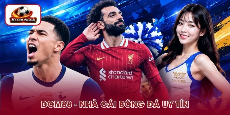 DOM88 – Nhà Cái Bóng Đá Uy Tín Với Kho Kèo Phong Phú