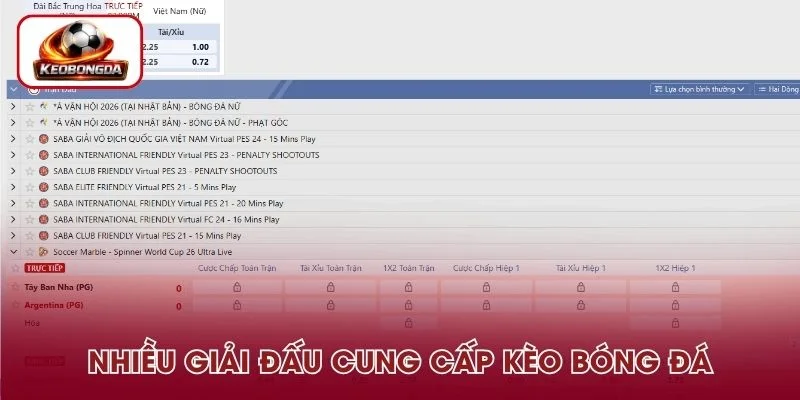 Nhiều giải đấu cung cấp kèo bóng đá khác nhau