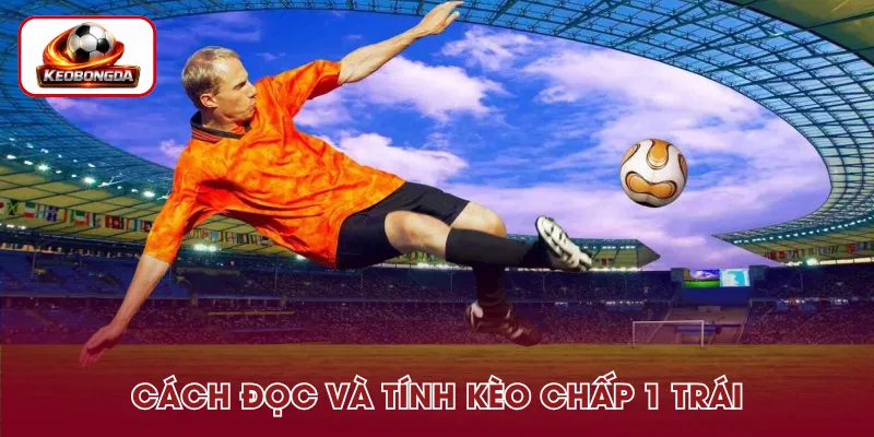 Cách đọc và xác định kết quả kèo chấp 1 trái