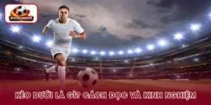 Kèo Dưới Là Gì? Cách Đọc Và Kinh Nghiệm Hiệu Quả