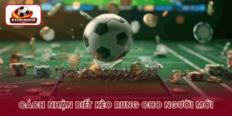 Cách phân biệt kèo rung chính xác cho người mới
