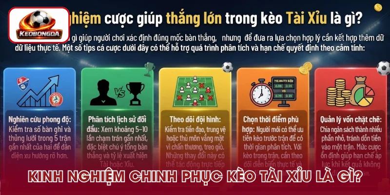 Bí quyết nâng cao khả năng thắng khi cược kèo Over/Under