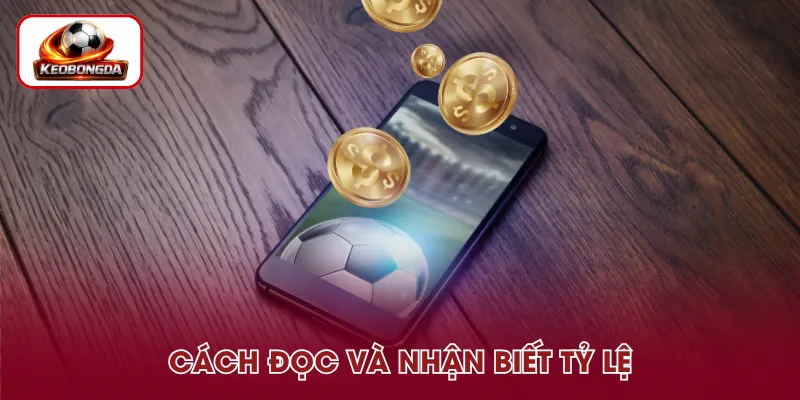 Cách đọc tỷ lệ tỷ số dành cho người mới