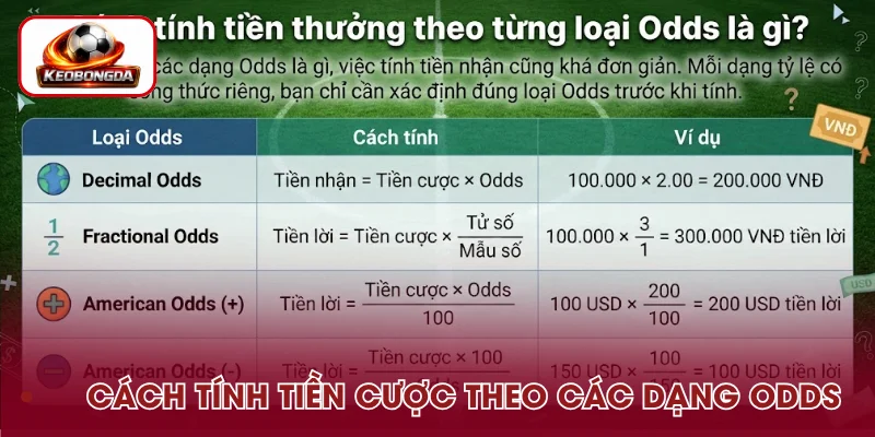 Hướng dẫn tính tiền cược theo các dạng Odds