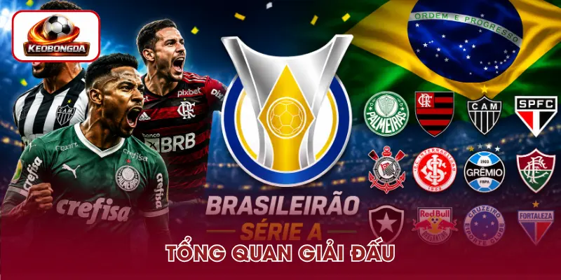 Sơ lược về giải đấu Serie A Brazil
