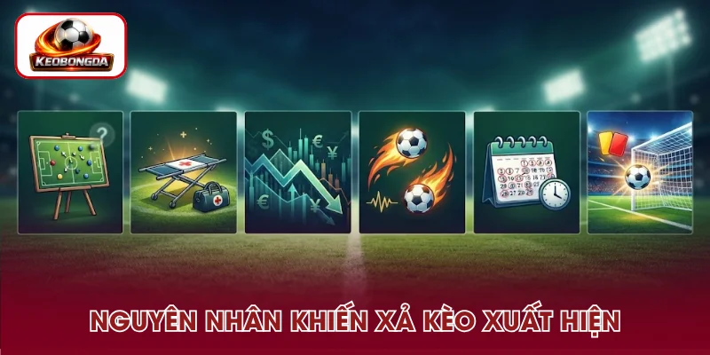 Nhận biết thời điểm xả kèo